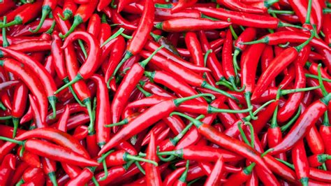 overdose chili|Eating chilies cuts risk of death from heart attack and stroke .